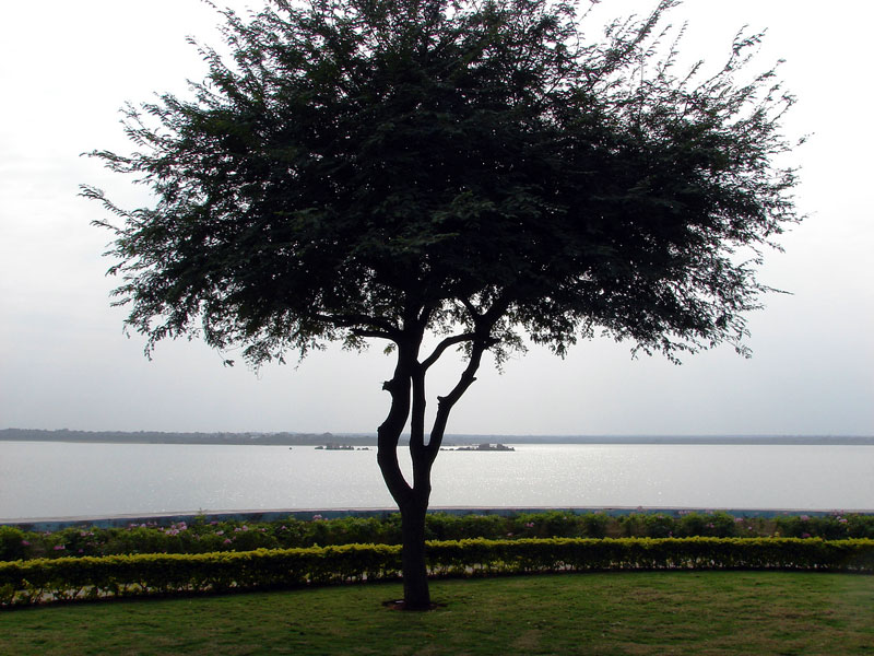 osman sagar.jpg